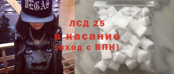 мдпв Гусев