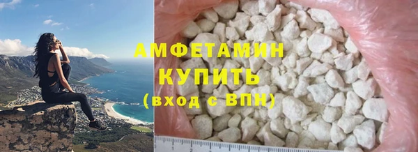 мдпв Гусев
