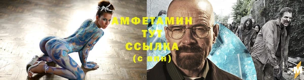 мдпв Гусев