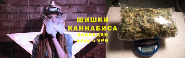 гидропоника Гусиноозёрск
