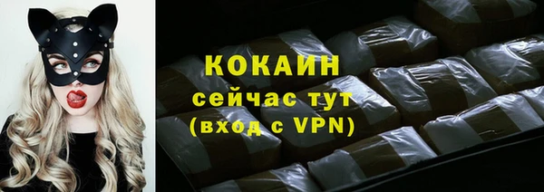 мдпв Гусев