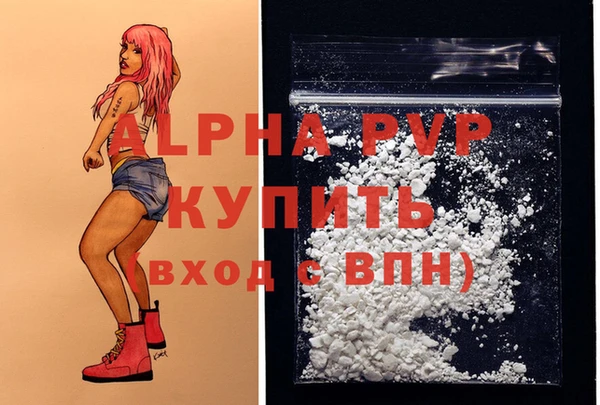 мдпв Гусев