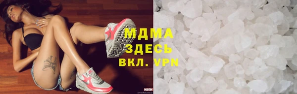 мдпв Гусев