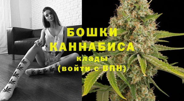 гидропоника Гусиноозёрск