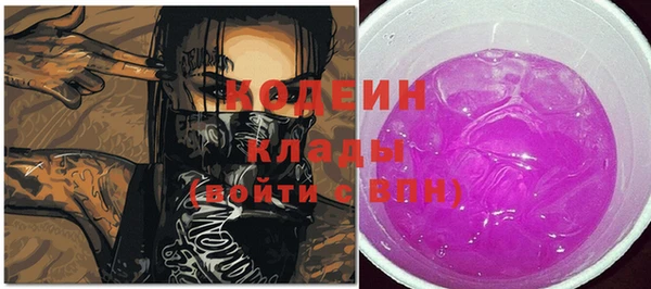 спайс Гусь-Хрустальный