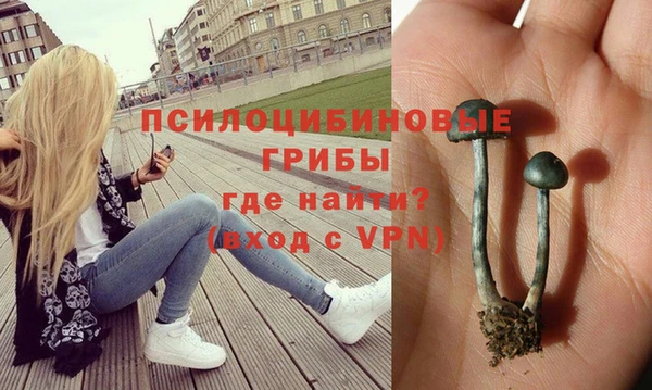 гидропоника Гусиноозёрск