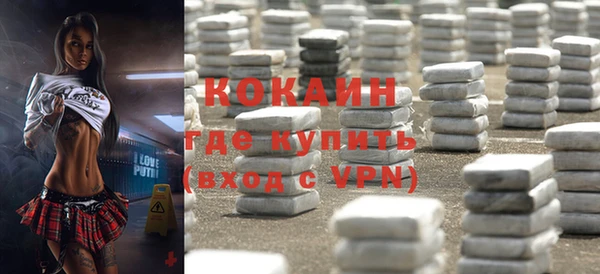 мдпв Гусев