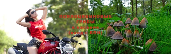 мдпв Гусев