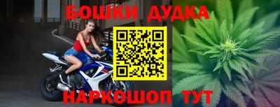 индика Гагарин