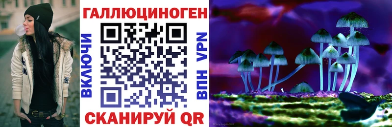 Галлюциногенные грибы Cubensis закладки Дивногорск