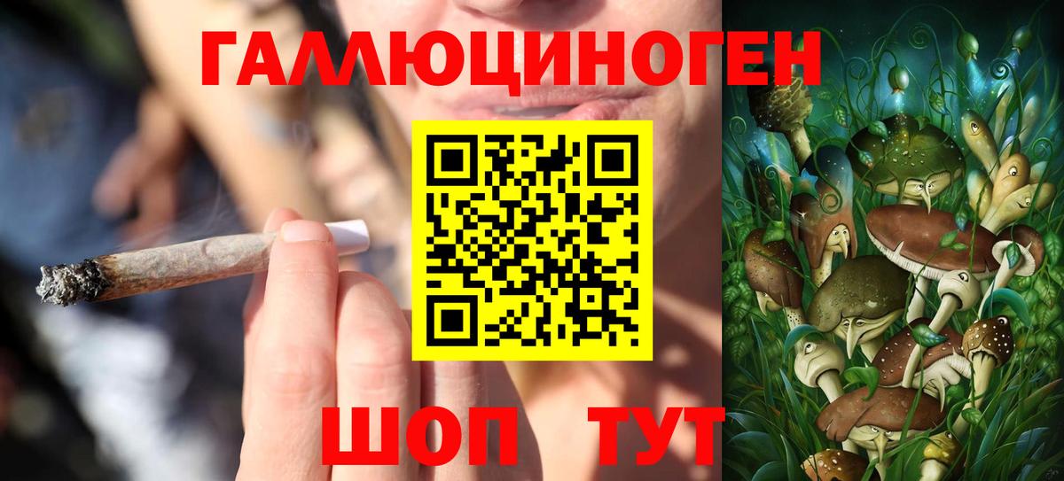 Псилоцибиновые грибы прущие грибы  Дивногорск 