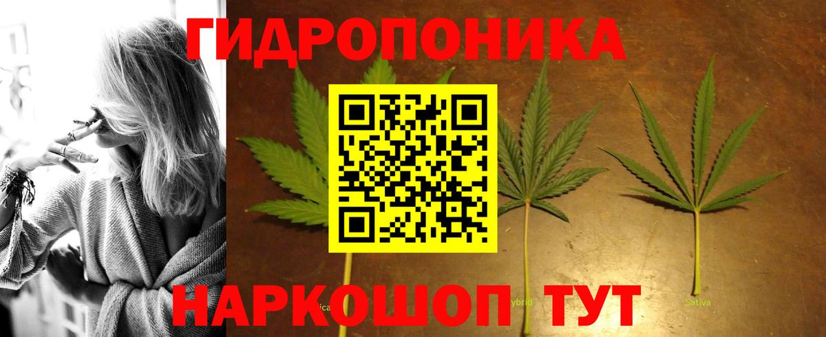 Шишки марихуана LSD WEED  МАРИХУАНА White Widow  Вход с VPN  Марихуана семена  Бошки Шишки марихуана  Дивногорск 